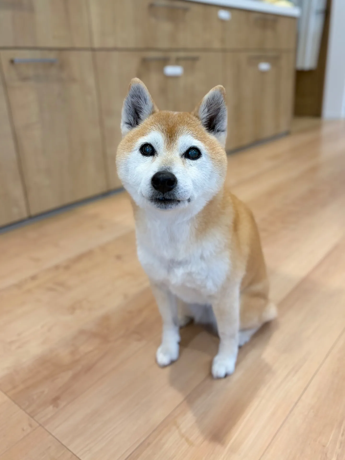 すずな